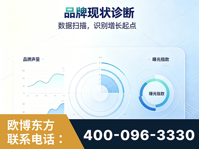 海东-品牌现状诊断