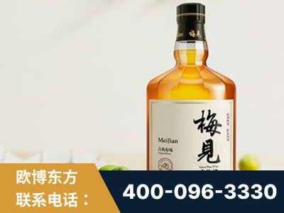 海东-梅见青梅酒